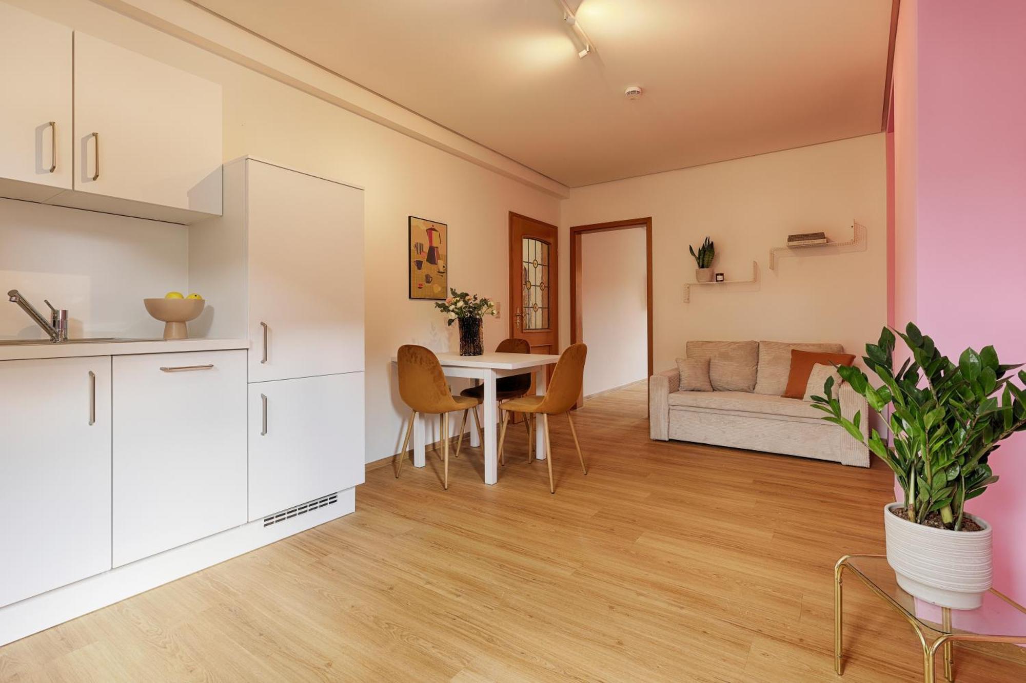 Homie Stay Badgasse - Fewos Am Main Mit Dachterrasse & Fahrradgarage Оксенфурт Экстерьер фото